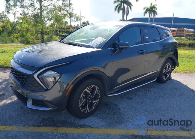 KNDPU3AF9P7098597: 41240193