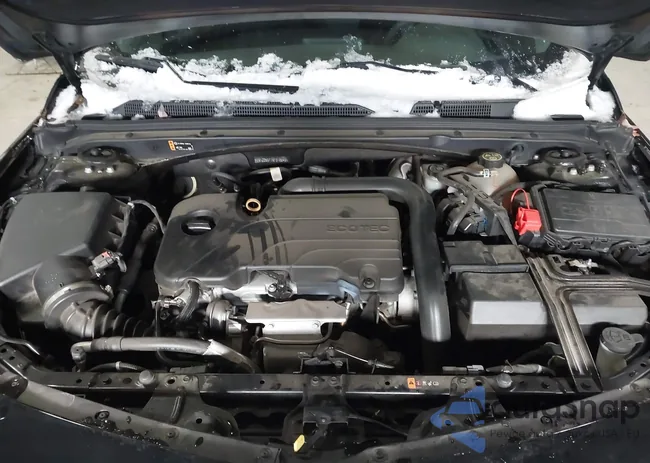 1G1ZD5ST1MF018549: 41244341