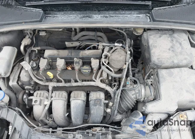 1FADP3F21EL368853: 41250559