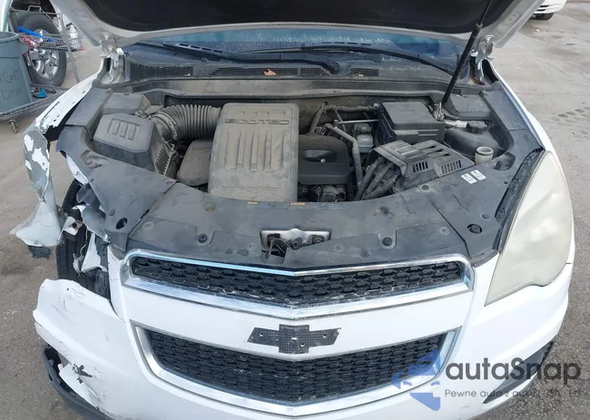 2CNALDEW1A6239920: 41251056