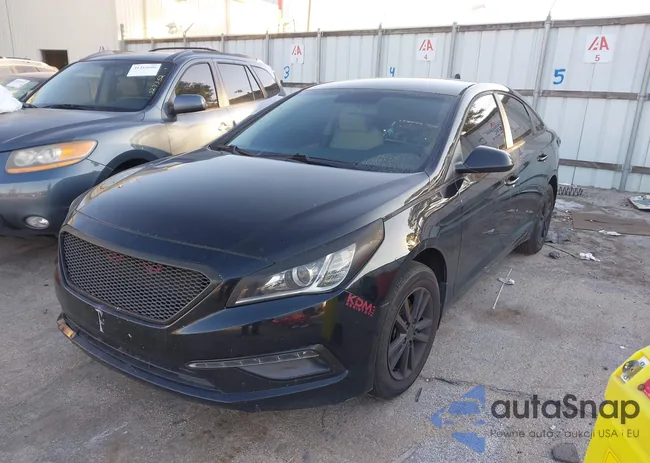 5NPE24AF6FH213671: 41256197