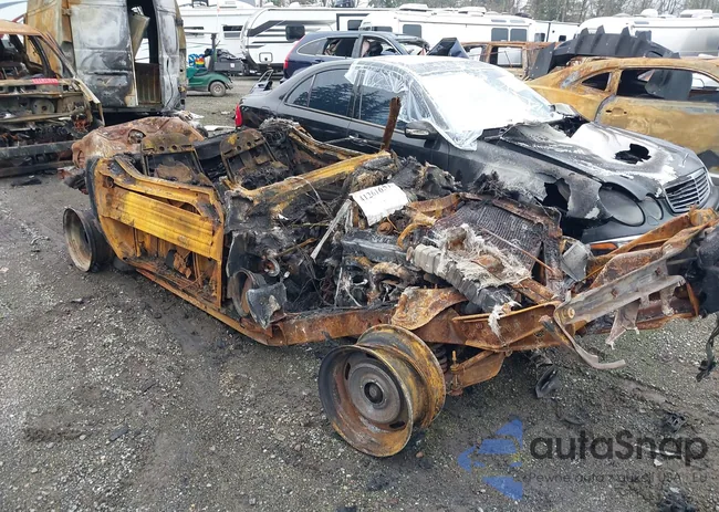 1267J55425306: 41261651