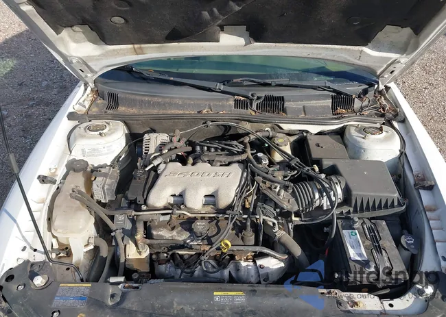 1G2NE52EX5M252744: 41277153