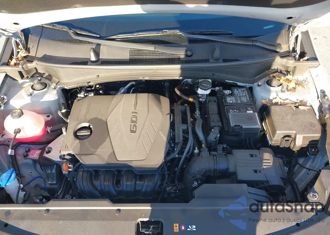 5XYK5CDF7RG196102: 41277378