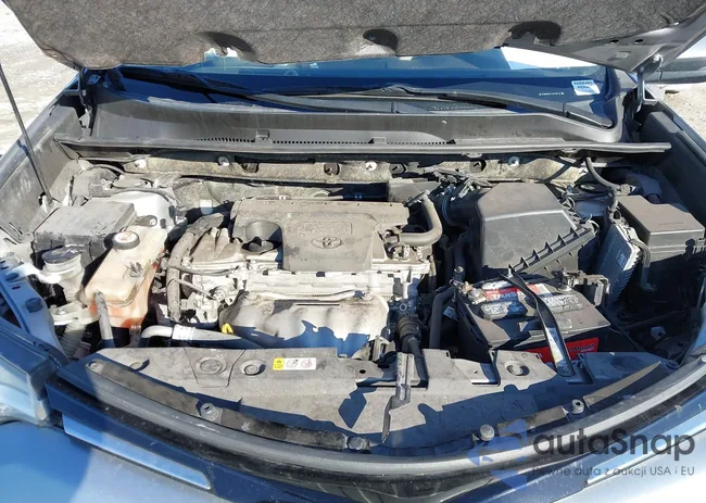 JTMWFREV7JD125119: 41276827