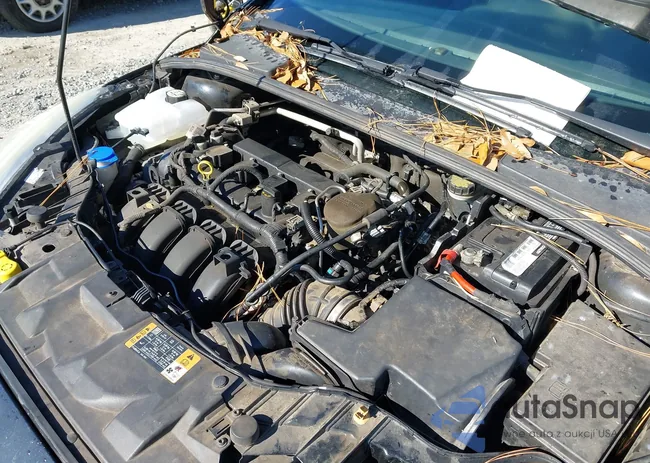 1FADP3K28FL264853: 41295484