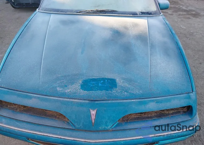 1G2WJ14TXPF216290: 41300550