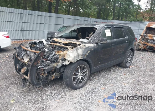 1FM5K8GT6JGC07155: 41299618