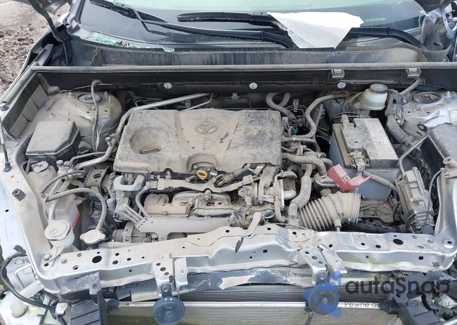 JTMN1RFV6MD078209: 41299941