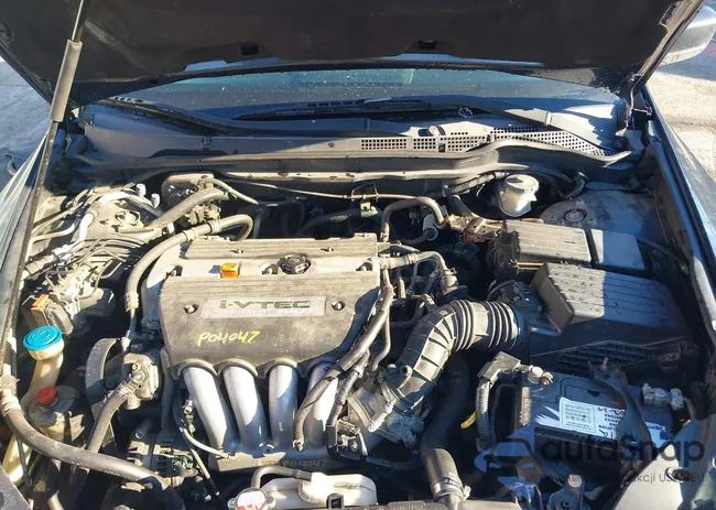 1HGCM56366A019124: 41305047