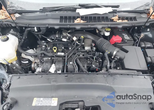 2FMPK4K96LBB25935: 41305482