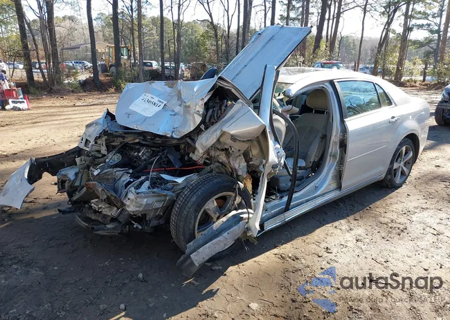 1G1ZD5E08CF103100: 41305814