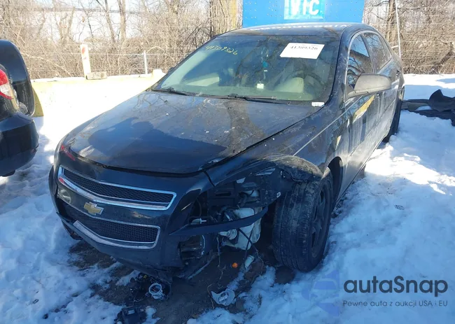 1G1ZB5E02CF244024: 41309326