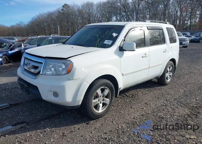 5FNYF4H41AB017313: 41310273