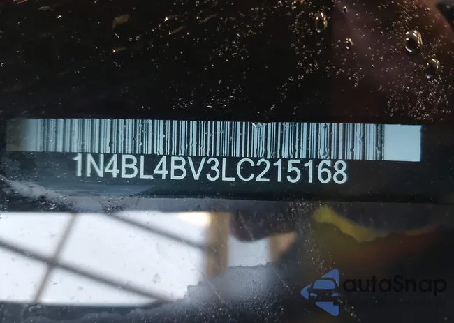 1N4BL4BV3LC215168: 41310538