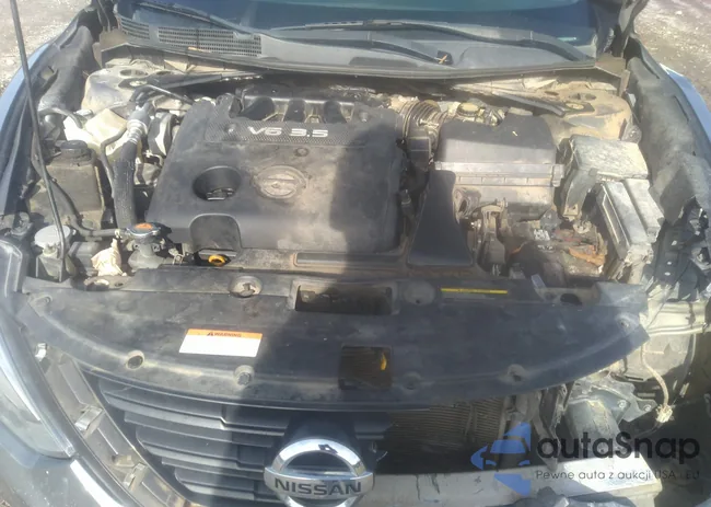 1N4BL3AP9GC156727: 41329074