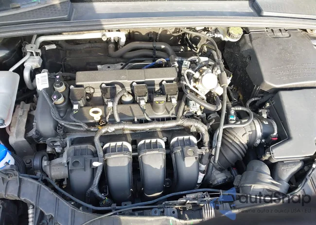 1FADP3F28GL348778: 41333419