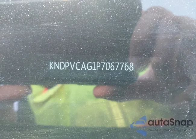 KNDPVCAG1P7067768: 41334138