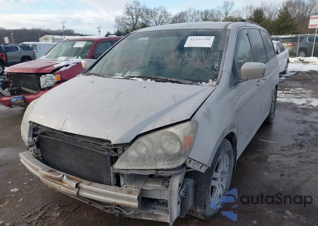 5FNRL38436B446922: 41335198