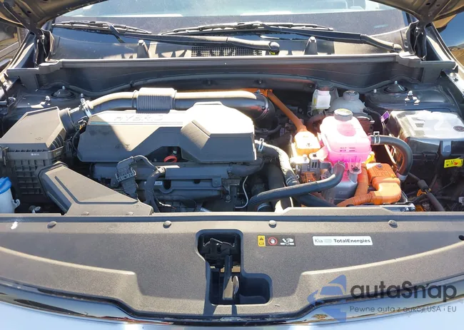 KNDPXCAGXP7035895: 41335448