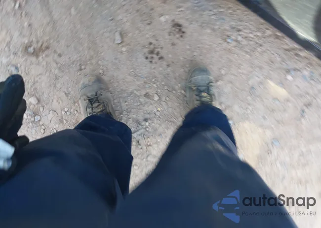 1N4AA51E49C852281: 41338285