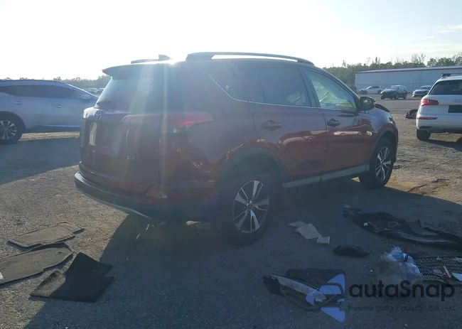 JTMWFREV0JD130324: 41341705