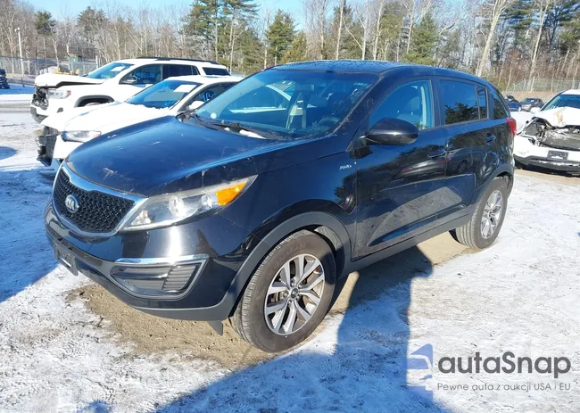 KNDPBCACXG7853316: 41354265