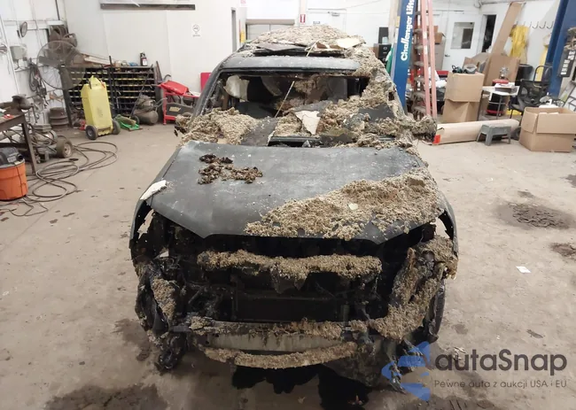 JTEBU5JR2K5612032: 41379897