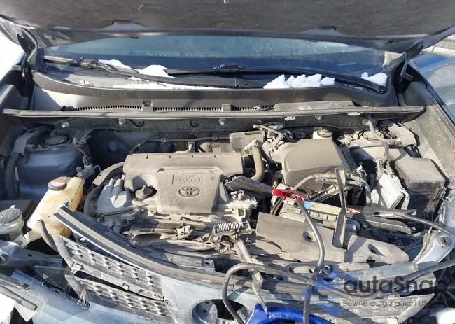 JTMBFREVXED070024: 41384033