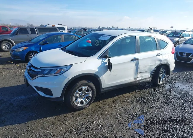 5J6RM4H33GL009893: 41383641