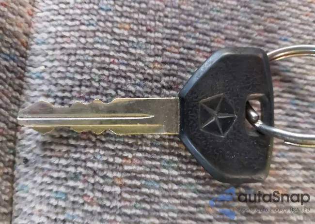 1B7GG23Y7SS187204: 41401934