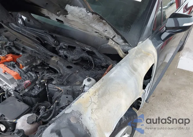 3GPKHVRJ7RS504480: 41407510