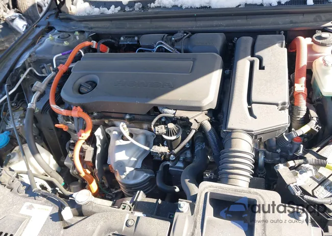 1HGCY2F60PA006481: 41414881