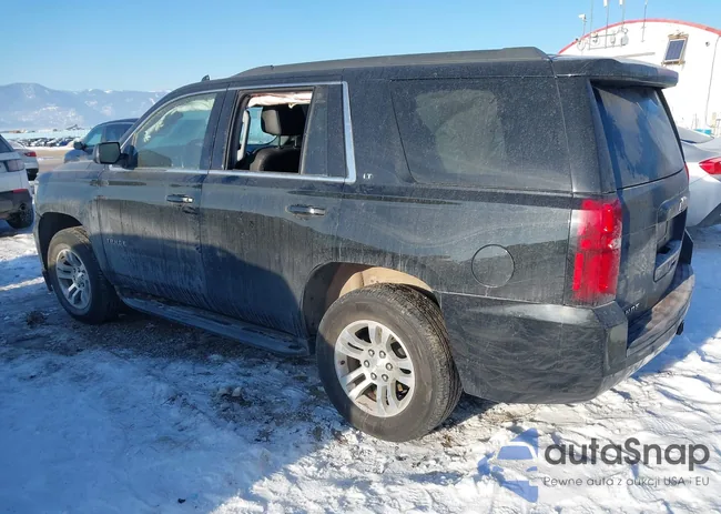 1GNSKBKC9LR309818: 41420268