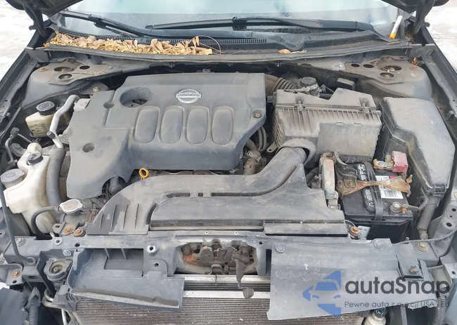 1N4AL21E99N555553: 41433993