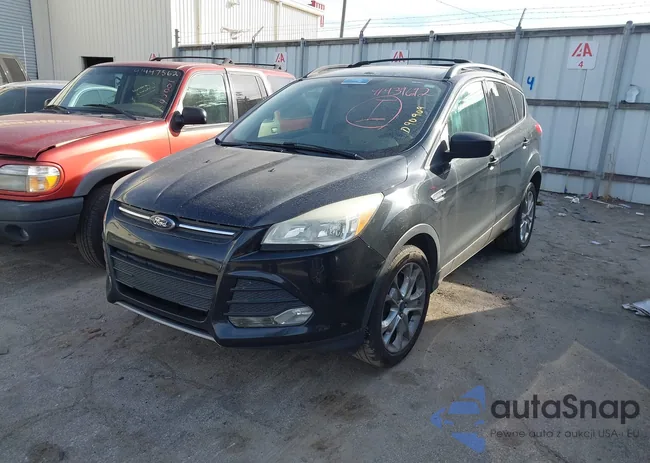 1FMCU0GX8DUD90909: 41439672