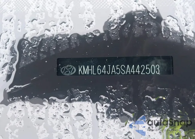 KMHL64JA5SA442503: 41456856