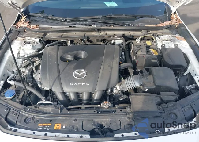 JM1BPAML2M1402973: 41477215