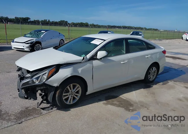 5NPE24AF4GH388499: 41485849