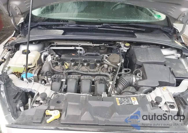 1FADP3K28FL286447: 41497574