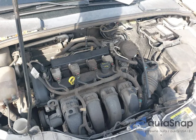 1FADP3K2XDL117477: 41497734