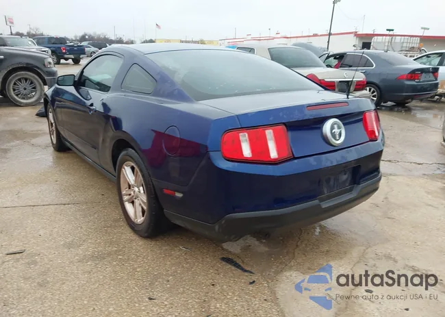 1ZVBP8AM4C5245151: 41502469