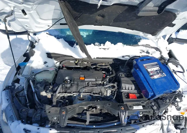 2HGFC2F87LH517565: 41506407