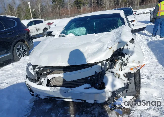 2HGFC2F87LH517565: 41506407