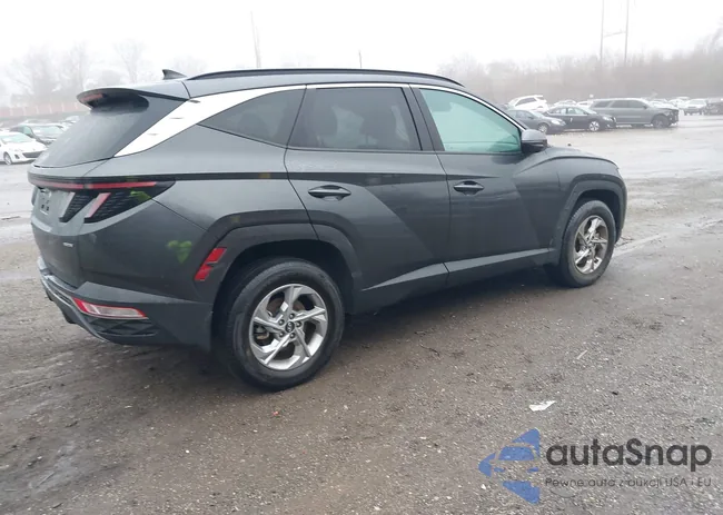 5NMJBCAEXPH253945: 41507846