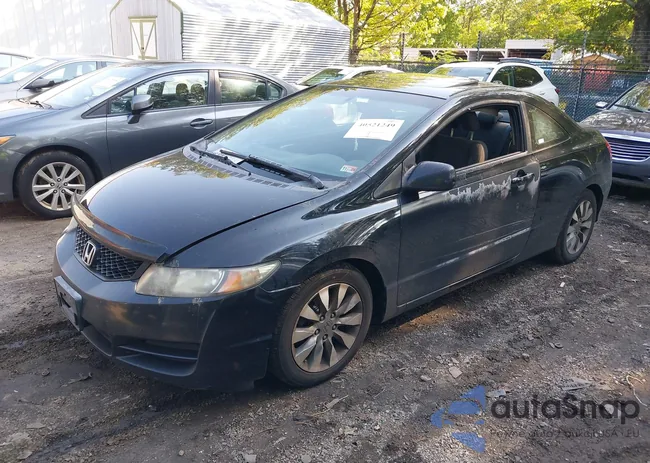 2HGFG12899H538768: 40521249