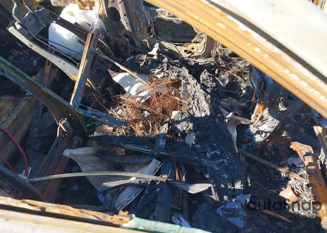 4T1BK1FK8DU535606: 40529088