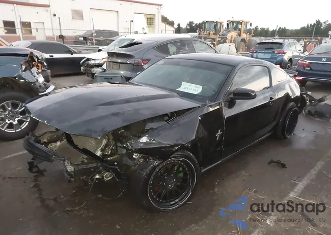 1ZVBP8AMXB5115177: 40531384