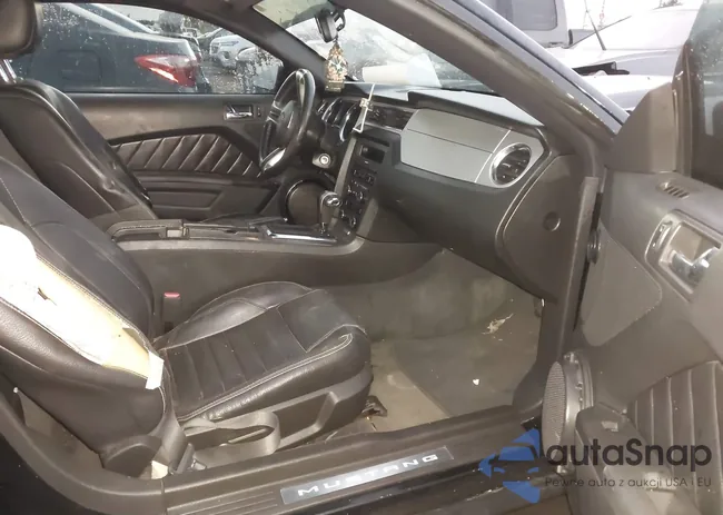 1ZVBP8AMXB5115177: 40531384