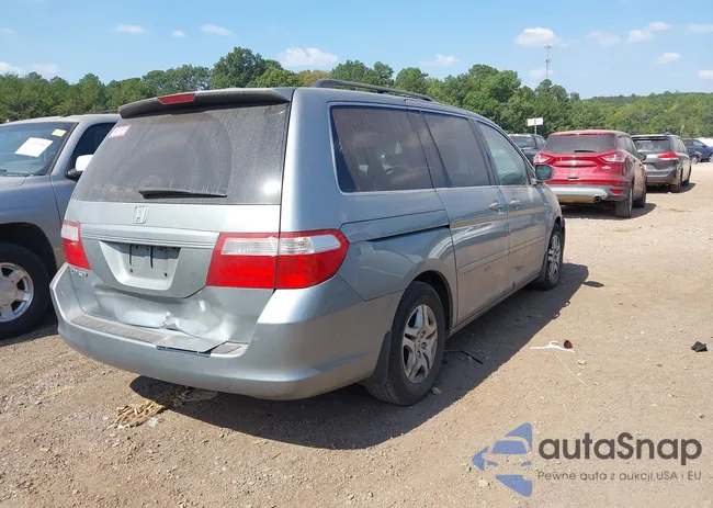 5FNRL38737B105855: 40541578